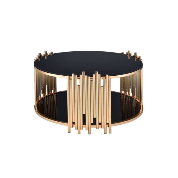 Borton Modern One-Tier Storage Coffee Table - Black Gold Finish