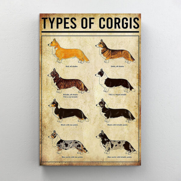 Corgi: Types of Corgis, Breeds & Traits Every Dog Lover Needs
