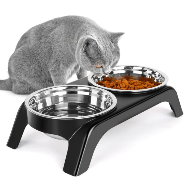 Anti-Vomiting Elevated Cat Feeding Bowls — 2 Stainless Steel, Non-Slip