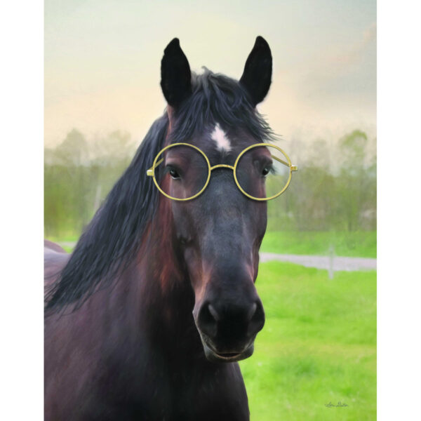 Horse Wearing Round Glasses - Adorable Funny Horse Photo Wall Art Gift