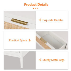 Irma 2-Drawer Rattan Nightstand & End Table in White with Storage