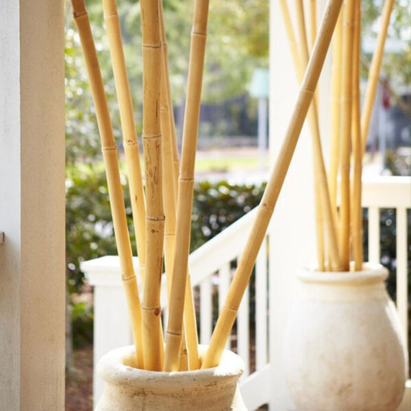 Durable Natural Bamboo Poles for Fencing & Decorative Garden Stakes