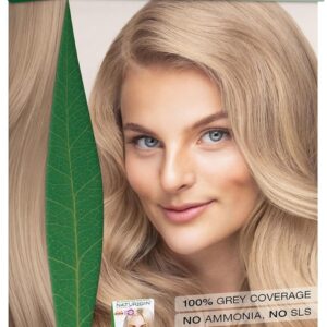 Naturigin Permanent Hair Color, 10.2 Light Ash, Ammonia Free, 100% Gray Coverage, Nourishing Natural Formula, For All Hair Types, Long-Lasting, Vegan & Cruelty-Free, 1 Pack
